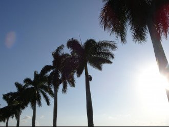 Sunset Palms Lely Resort