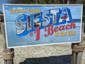 Your Tropical Private Paradise at a Siesta Key Beach House #48
