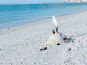 Enjoy Marco Island!! ******** Just Steps to South Beach Access!!! #1