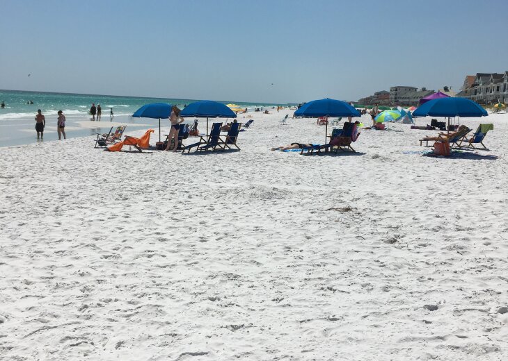 Seashells Beach