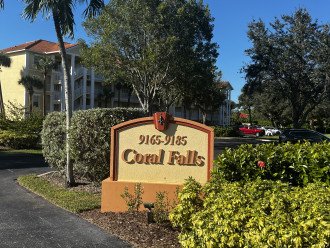 Coral Falls Coastal Oasis #46