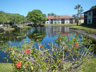 Florida Bella Rosa Villa - with lake view , close to IMG & Anna Maria beach #2