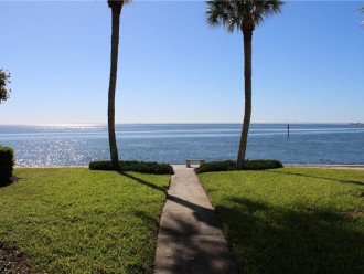 Panoramic stunning waterfront views of Tampa Bay #28