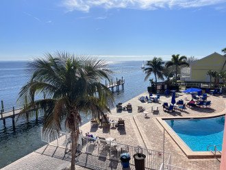 Panoramic stunning waterfront views of Tampa Bay #1