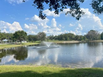 Cozy Piece of Paradise Close to Orlando Parks #1