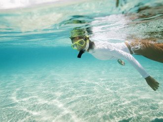 1 FREE adult ticket per day for snorkeling (seasonal)