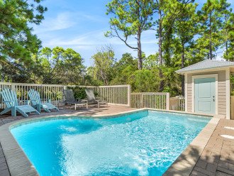 Amaryllis Point - 30A, Private Pool, Bicycles, 3 King Masters! #8