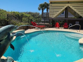 From the house above, you will see plenty of dolphins swimming in the ocean, and then you can come swim with them in the pool!