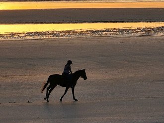 Horseback Ridingbon Crescent Beach