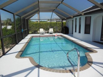A Florida Paradise (Pool) #3