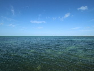 Yes, there is an unlimited blue water Florida bay view (not a canal)!