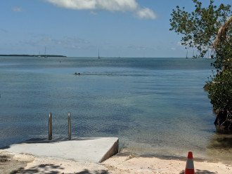 Swim and snorkel from the boat ramp or jetty