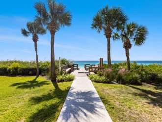 Palms of Seagrove A8 #18