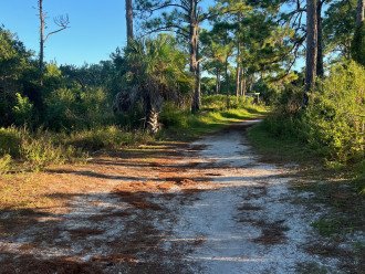 Hike or bike through the 4 miles of trails on Honeymoon Island