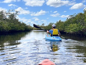 Kayak excursion to nearby mangroves
