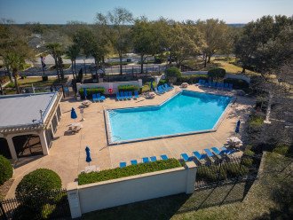 *New* Pet Friendly Disney Paradise with Pool #43