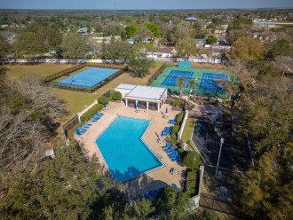 *New* Pet Friendly Disney Paradise with Pool #45