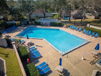 *New* Pet Friendly Disney Paradise with Pool #44