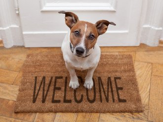 Pets Welcome! 1 Pet 25lbs or less