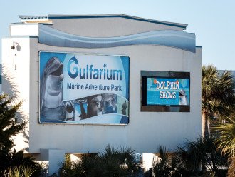 The Gulfarium is one of many nearby attractions