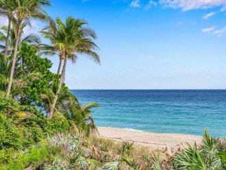 Just cross the picturesque A1A boulevard dotted with restaurants to unwind on the renown Fort Lauderdale beach.
