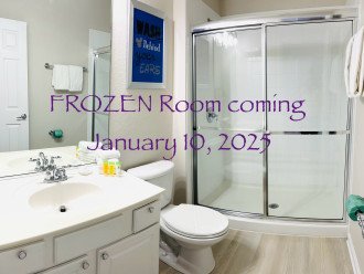 Frozen Decor Coming January 10, 2025