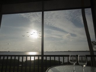 Breathtaking view from the 2nd floor to the Manatee River Tidewater Preserve #19