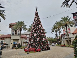 Many events during the holidays in Destin, the Christmas tree at Destin Commons.