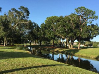 Updated Waterfront Retreat on SW Cape Gulf Access Canal! Heated Pool, Kayaks #38