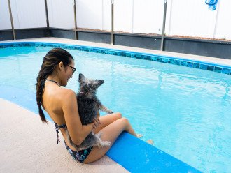 Private Pool Oasis in Pet-Friendly Home #6