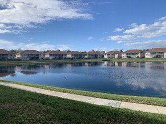 view of pond from rear lanai