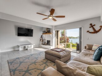 WATCH DOLPHINS FROM YOUR SOFA! #31