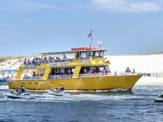 Dolphin cruises