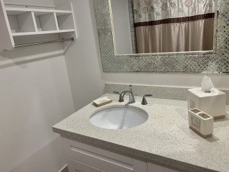 Newly renovated Master Bath with tub/shower.
