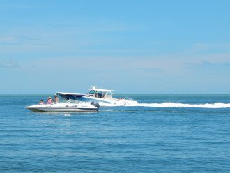 A Boat Tour is a Great Way to See the 10,000 Islands.