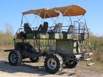 Take a Swamp Buggy Ride Through the Everglades