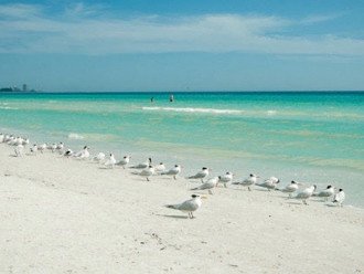 Beautiful white sands of Siesta Key Main Beach