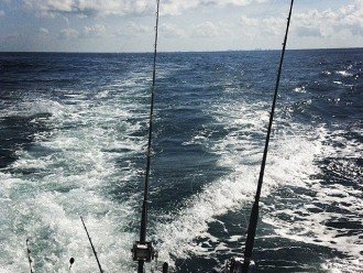 Great Fishing in the Gulf of Mexico