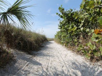 Beach access path.