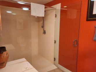 Extra large walk in shower is handicap accessible