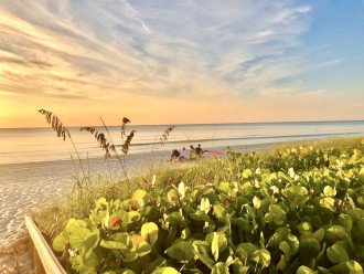 NEW LISTING - LIFE AT VANDERBILT BAY & BEACH IS LIKE A NEVER ENDING WEEKEND! #29
