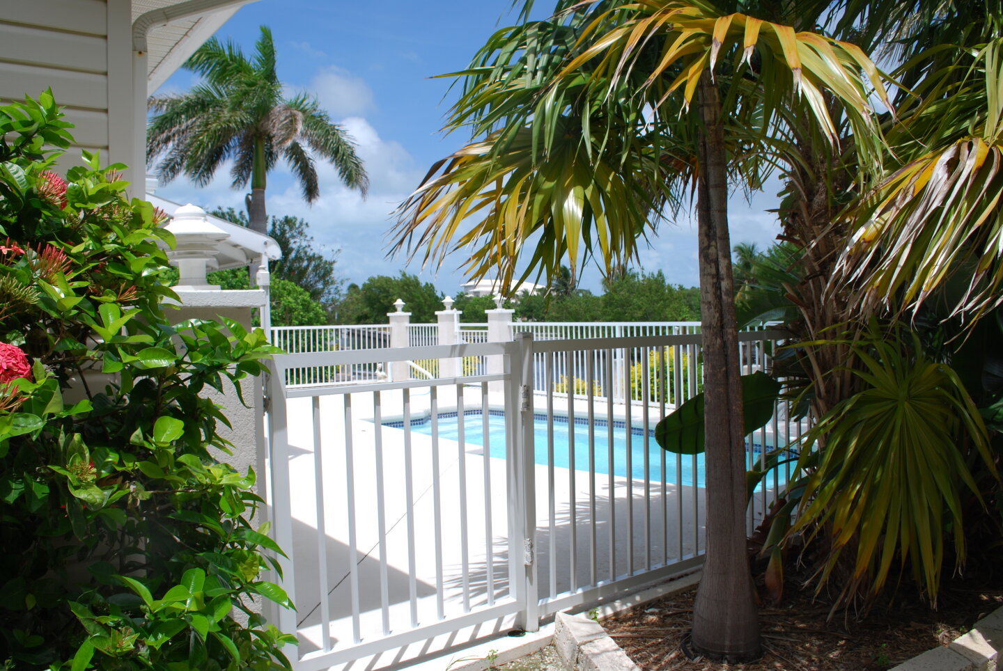 Welcome to paradise!