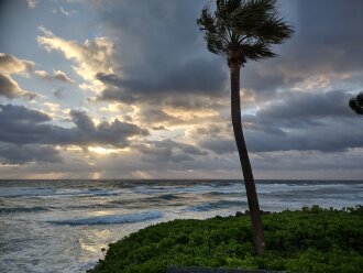 Seasonal Vacation Rental Close to All Boca Raton East