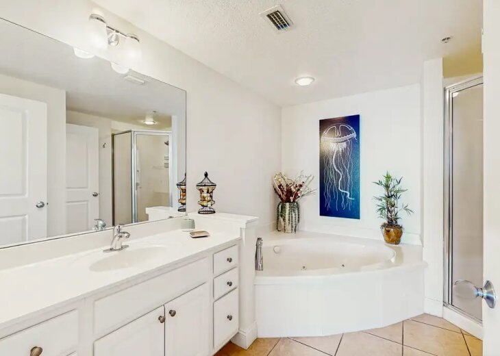 Master Bathroom with Soaking Tub