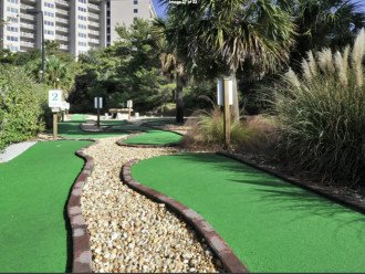 All you need to play-PUT PUT at condo