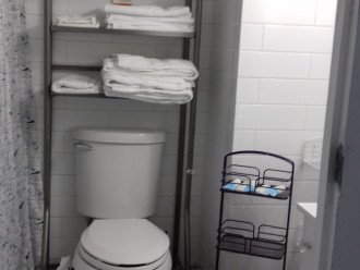 Over Toilet Space Saver_229