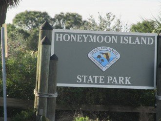 Updated condo on the causeway to Honeymoon Island #1