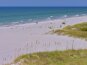 Look for Shells When You Walk the Shoreline