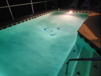 Pool has night light, dolphins and turtles too!