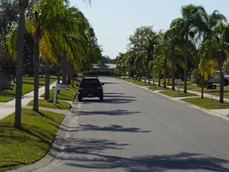 Quiet palm-lined street and neighborhood.